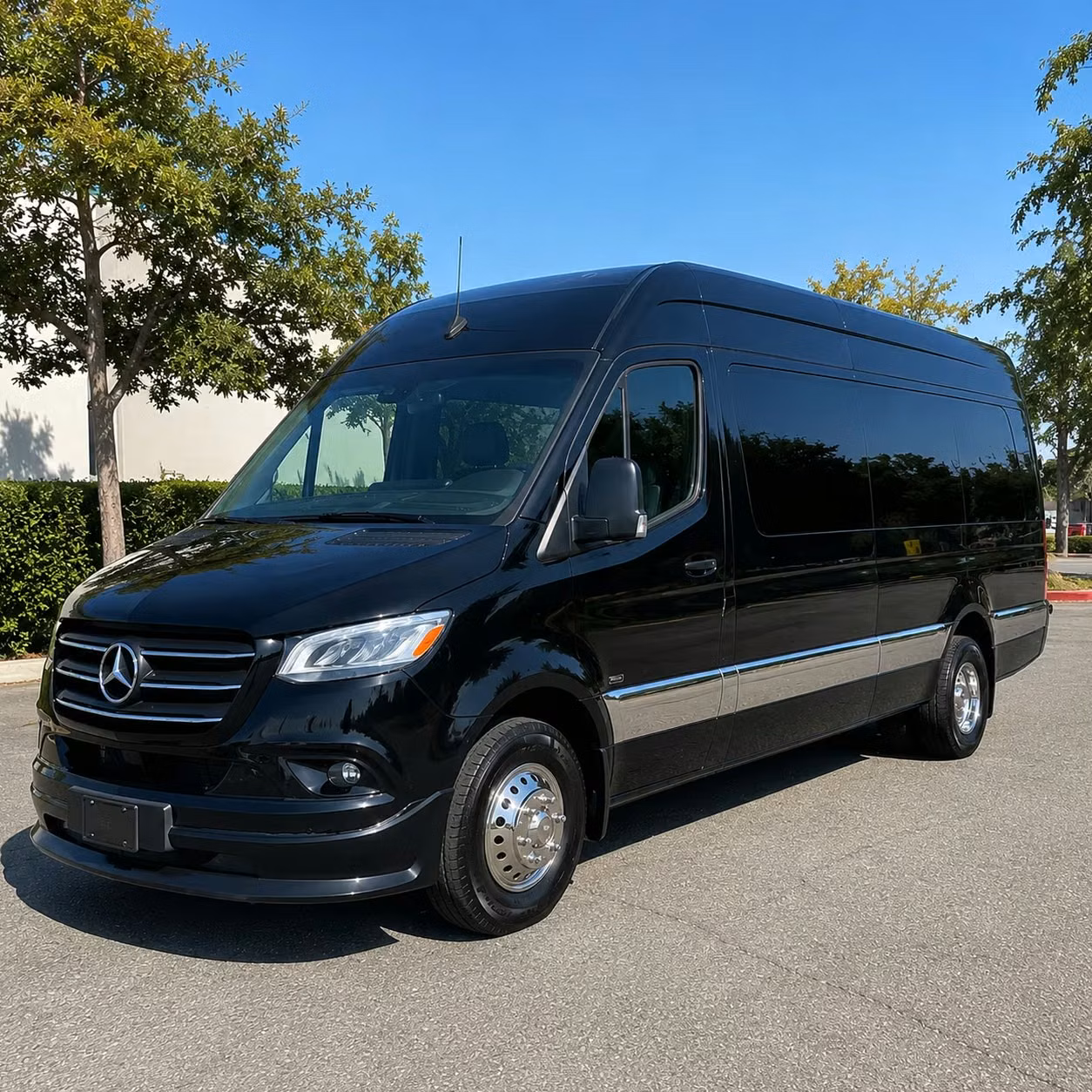 sprinter van with driver